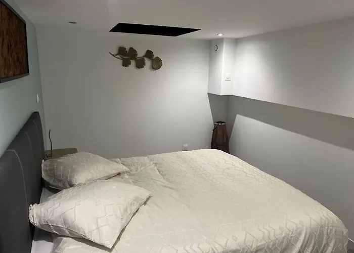 Souplex Gare Saint Jean Apartament *