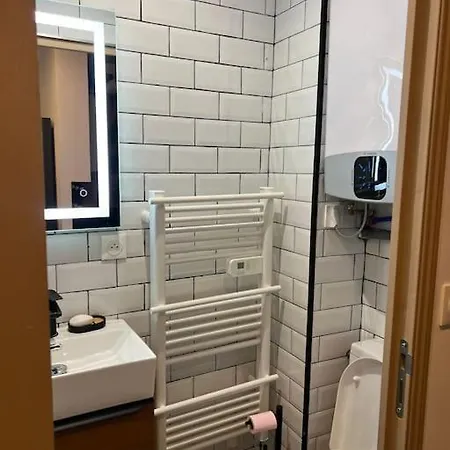 Apartment Souplex Gare Saint Jean *